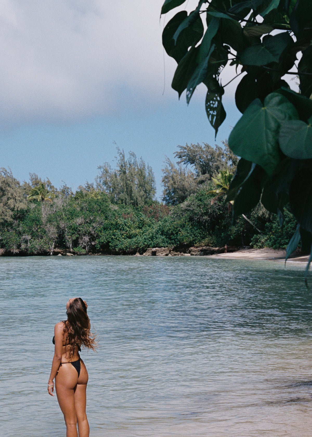 Essentials Beach Bikini Bottom - Black Sand