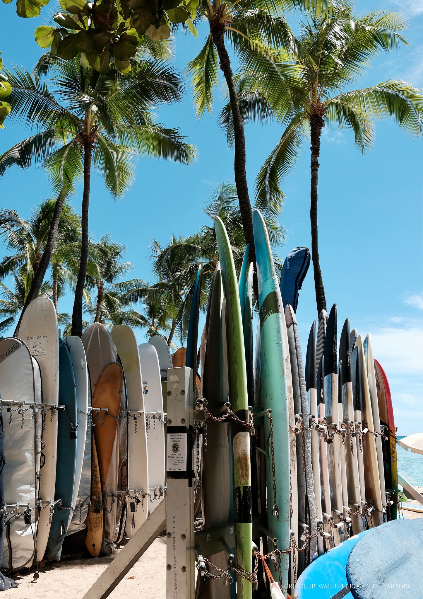 Surf Club Waikiki