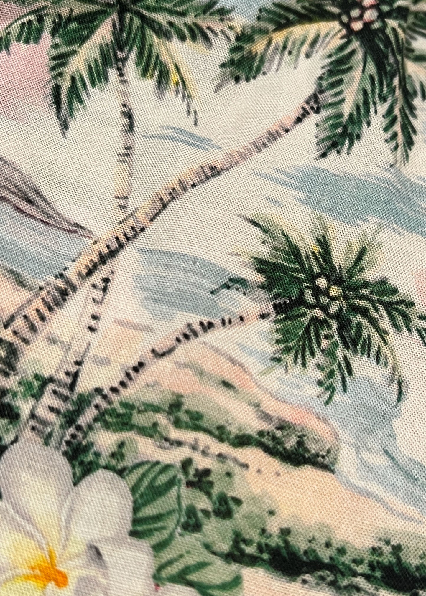 Club Tropica Scoop Short - Pool